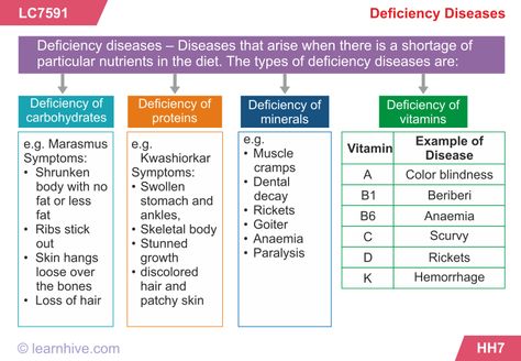 Deficiency Diseases Chart, Deficiency Diseases, Hygiene Lessons, Muscle Diseases, Healthy Food Chart, Ap Chemistry, Osho Quotes, Nutritional Deficiencies, Pre Med