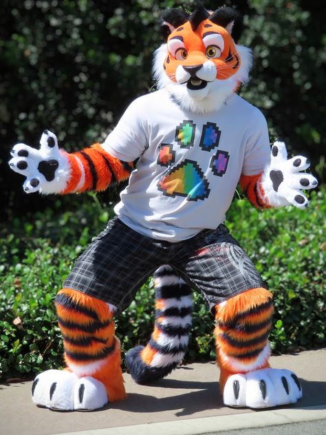 Tiger Fursuit, Happy 11th Birthday, 11th Birthday, The Tiger, Good Time, Birthday