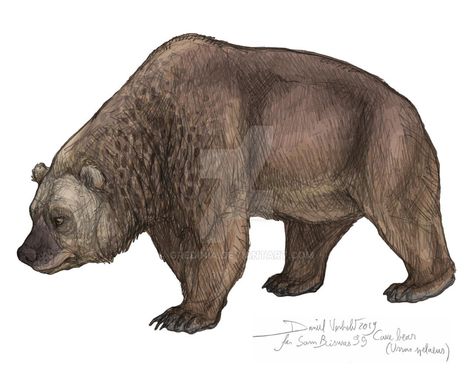 Cave Bear Art, Prehistoric Bear, Fantasy Bear Creature, Brown Bear Fantasy Art, Eurasian Cave Lion, Cave Bear, Alien Creatures, Prehistoric Animals, Brown Bear