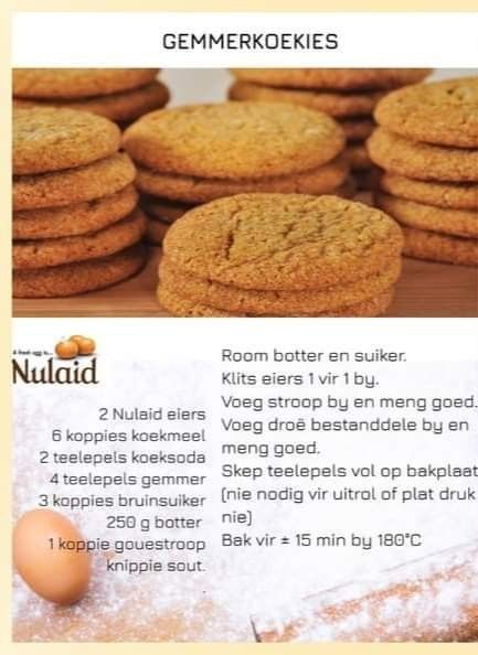 Oat Biscuit Recipe, Tea Scones Recipe, 100 Cookies Recipe, Best Tiramisu Recipe, Ginger Snap Cookies Recipe, Best Biscuit Recipe, Butter Cookie Recipe Easy, Warm Desserts, Ginger Biscuits