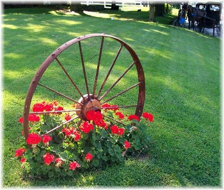 Wagon wheel with Geraniums Colorful Setting, Country Garden Decor, Red Geraniums, Spring Decor Diy, Spring Decoration, Garden Yard Ideas, Front Yard Garden, Audio Player, Wagon Wheel