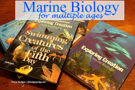 Homeschool Marine Biology for Multiple Ages - Hodgepodge Biology For Kids, High School Credits, Homeschool Math Curriculum, Christian Homeschool Curriculum, Biology Resources, Homeschool Books, How To Start Homeschooling, High School Science, Homeschool High School