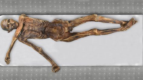 A new look at Ötzi the Iceman's DNA reveals new ancestry and other surprises Otzi The Iceman, Ötzi The Iceman, Dna Analysis, Answers In Genesis, Molecular Genetics, Jason Priestley, History Questions, The Iceman, Jesus Return