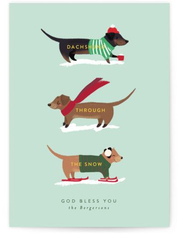 Dachshund Through The Snows Holiday Non-Photo Cards Minted Holiday Cards, Dachshund Illustration, Snow Illustration, Dog Puns, Dashing Through The Snow, Dachshund Christmas, Snow Dogs, Dachshund Love, Weiner Dog