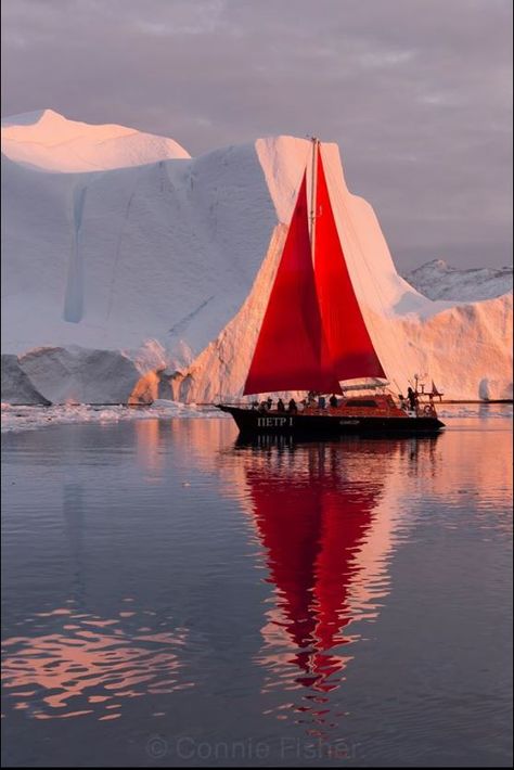 #red sail in the #Greenland sunset by photographer Connie Fisher Connie Fisher, Pretty View, Sailboat Painting, Boat Art, Tall Ships, Water Crafts, Lighthouse, Sydney Opera House, Boats