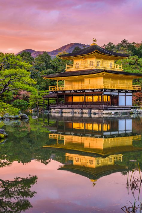 Beautiful Places In Japan, Golden Pavilion, Japan Holidays, Japan Landscape, Visit Asia, World Wallpaper, Japanese Landscape, Aesthetic Japan, Most Beautiful Cities