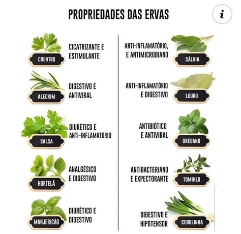 Eco Garden, Magia Das Ervas, Western Food, Aromatic Herbs, Natural Life, Raw Food Recipes, Herbal Remedies, Health Food, Cooking Tips