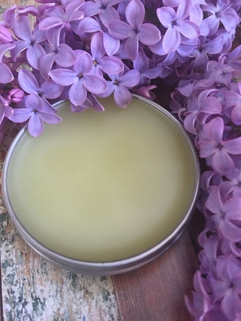 Lilac Herbalism, Lavender Balm Recipe, Lilac Herbal Recipes, Lilac Infused Oil, Lilac Oil Diy, What To Do With Lilac Flowers, Lilac Medicinal Uses, Violet Salve, Sage Salve