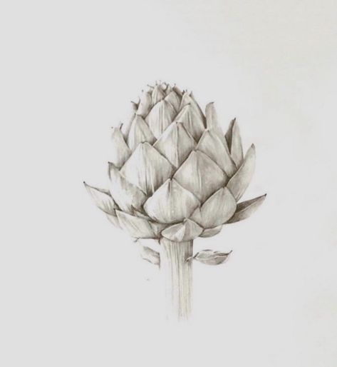 Artichoke Drawing, Artichoke Tattoo, Nature Sleeve, Artichoke Flower, Bouquet Tattoo, Bear Tattoo, Tinta China, Graphite Drawings, From Instagram