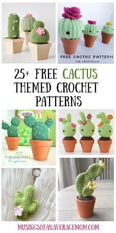 Crochet Cactus Free Pattern, Crochet Succulent, Crochet Garden, Crochet Cactus, Pola Amigurumi, Crochet Plant, Plant Pattern, Crochet Flower Patterns, Chunky Crochet