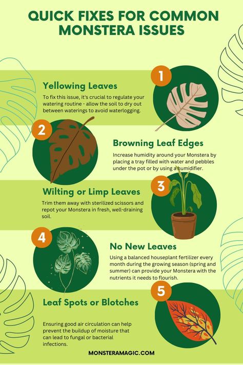 Monstera Magic - If you're a BEGINNER, this... Monstera Deliciosa Care, Monstera Care, Monkey Plant, Plant Knowledge, Monstera Plant Care, Moss Pole, Household Plants, Plant Care Houseplant, Plant Ideas