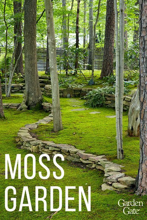 Check out David Spain's magnificent moss garden #DreamGarden #Moss #GardenDesign #GardenGateMagazine Moss Lawn, Moss Garden, Have Inspiration, Forest Garden, The Secret Garden, Woodland Garden, Garden Yard Ideas, Garden Cottage, Outdoor Landscaping