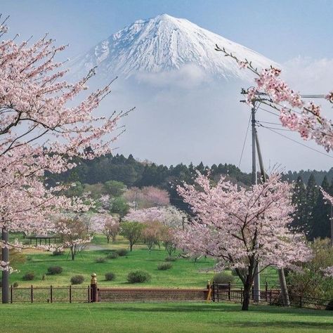 Japanese Landscape, Japan Aesthetic, Mt Fuji, Aesthetic Japan, Japanese Aesthetic, Spring Aesthetic, Instagram Food, Pretty Places, Landscape Photos