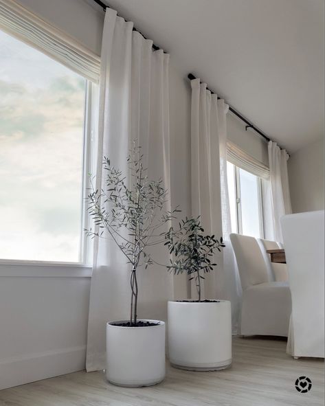 White faux linen look curtains, black rod. White ceramic pots olive tree . Wood dining table white slipcover chairs http://liketk.it/32Py0 #liketkit @liketoknow.it #LTKhome #LTKunder50 #LTKunder100 @liketoknow.it.home Shop your screenshot of this pic with the LIKEtoKNOW.it shopping app Black Curtain Pole White Curtains, White Curtain Black Rod, Black Curtain Rods With White Curtains, Curtains Lounge Room, White Curtains With Black Rod, White Wood Blinds With Curtains, Rod Curtains Ideas Living Rooms, Dining Room Blinds And Curtains, Living Room Black Out Curtains Ideas