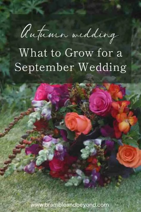 Autumn Flower Wedding: What to Grow for a September Wedding 1 September Flowers In Season, September Wedding Centerpieces, Grow Your Own Wedding Flowers, Wedding Flowers Decorations, September Wedding Flowers, Fall Flowers Garden, Wildflower Wedding Theme, Wedding September, Autumn Diy