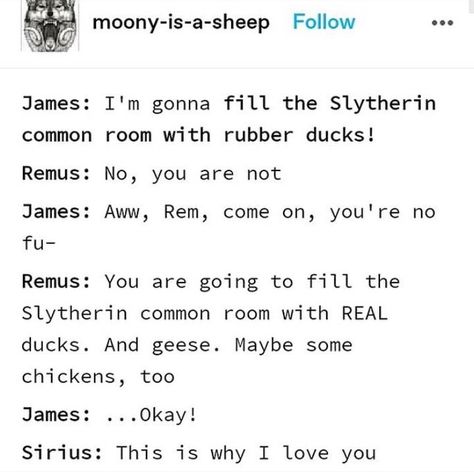 Marauders James Potter, Marauders Incorrect Quotes, Remus Lupin Marauders, Marauders Headcanons, Mauraders Era, Harry Potter Texts, Orion Black, Funny Harry Potter Jokes, Gay Harry Potter