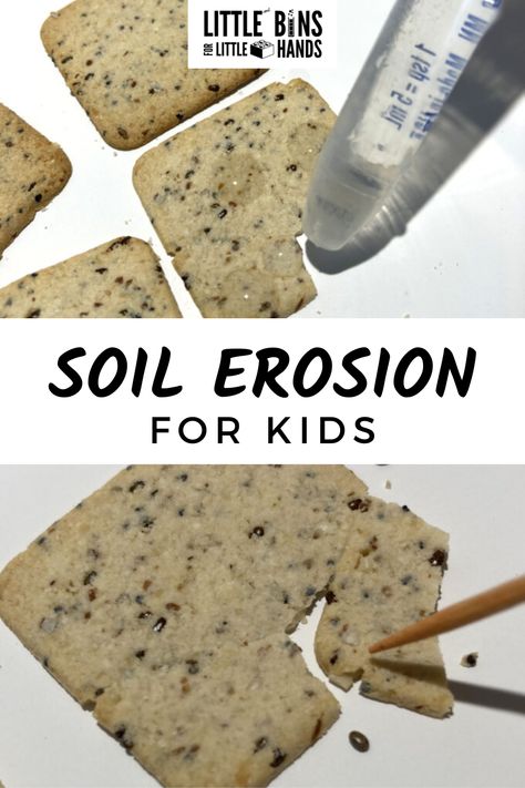 Learn about soil erosion with a fun, hands-on edible science activity that kids are sure to love! Soil erosion for kids is a fun way to include a little earth science into your lessons. Look for the free printable project included to make lesson planning easy! Soil Experiments For Kids, 3rd Grade Science Experiments, Erosion Activities, Geology Activities, Soil Activities, Edible Science, Earth Activities, Earth Science Activities, Easy Stem