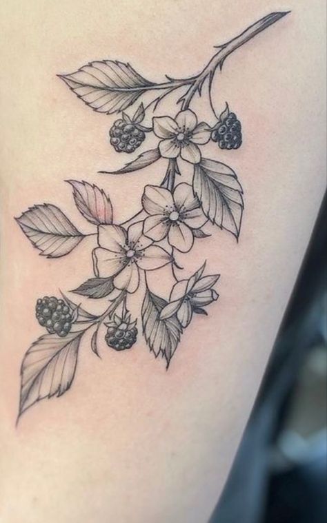 Black And White Raspberry Tattoo, Mulberry Tattoo Black And White, Rowan Berry Tattoo, Tattoo Genou, Blackberry Bush Tattoo, Blackberry Vine Tattoo, Tattoos Man, Blackberry Tattoo, Front Shoulder Tattoos