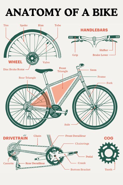 Anatomy of a bike, bicycle parts, bike parts, names of bicycle parts Parts Of Bike, Vintage Bicycle Parts, Bicycle Repair, Bicycle Maintenance, Vintage Bicycle, Classy Tattoos, Bike Repair, Bicycle Parts, Bicycle Design