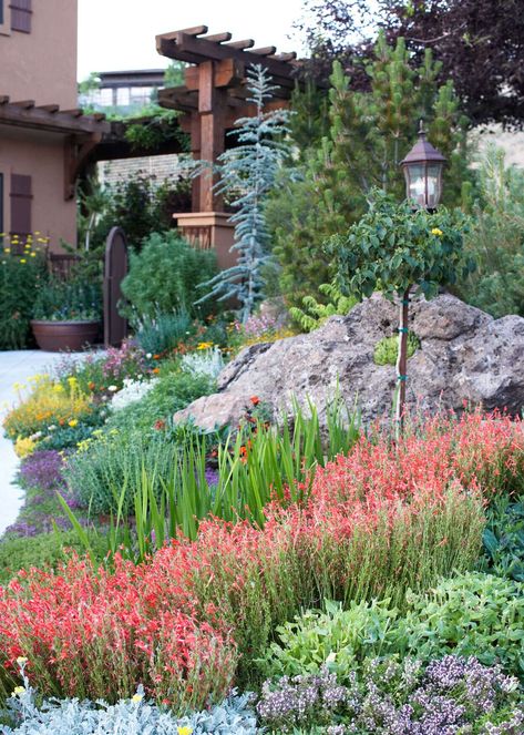 Drought Resistant Plants, Drought Tolerant Garden, Drought Tolerant Landscape, Have Inspiration, Drought Tolerant Plants, Landscape Projects, Desert Landscaping, Front Garden, Rock Garden