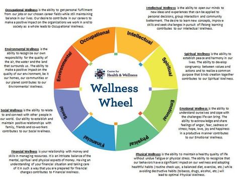 Wellness Wheel Activity, Wellness Wheel, Wellness Workshop, Balance Wheel, Workplace Wellness, Wellness Resources, Health Lessons, Wheel Of Life, Positive Psychology