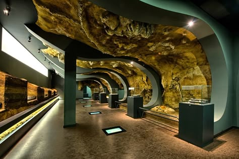 15 Best Things to Do in Santander (Spain) - Page 4 of 15 - The Crazy Tourist Santander Spain, Museum Plan, Museum Interior, Museum Exhibition Design, Interactive Museum, Nature Museum, Museum Design, Museum Displays, Exhibit Design