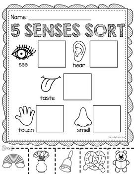 Prek 5 Senses Activities, 5 Sense Crafts For Preschoolers, Pre K Activity Sheets, Pre K Five Senses Activities, 5 Senses Crafts Preschool Art, 5 Senses Crafts For Toddlers, 5 Senses Math Activities, Teaching 5 Senses, 5 Senses Crafts Preschool