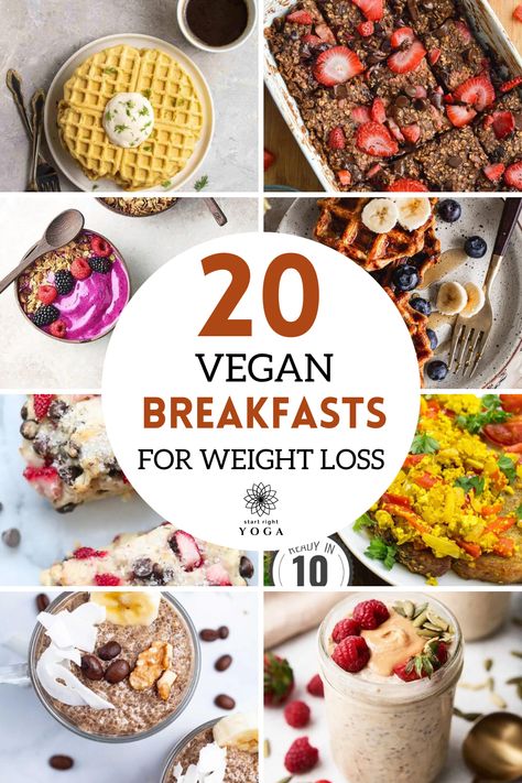 Wake up to a feast with our collection of 20 vegan breakfast recipes! From savory tofu scrambles to sweet smoothie bowls, there's something to satisfy every craving and fuel your day Vegan Breakfast Scramble, Low Cal Vegan Breakfast, Low Calorie High Protein Vegan Breakfast, Low Calorie Vegan Breakfast, Low Cal Breakfast, High Protein Vegan Breakfast, Best Vegan Breakfast, Tofu Scramble Vegan, Vegan Breakfast Options