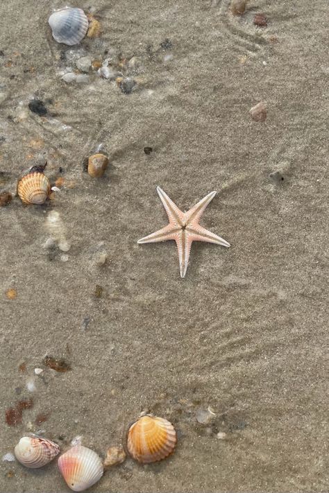 Kerang Laut Aesthetic, Beach Core, Summer Aesthetic Wallpaper, Mermaid Aesthetic, Paper Background Texture, Summer Backgrounds, Ocean Wallpaper, Funny Phone Wallpaper, Ocean Vibes