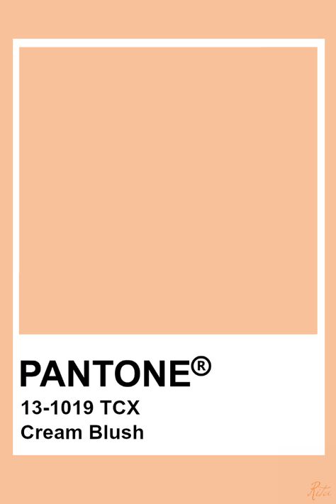 Pantone Cream Blush Pantone Orange, Pantone Tcx, Pantone Color Chart, Pantone Swatches, Pantone Palette, Caramel Cream, Pantone Colour Palettes, Pantone Colors, Almond Cream