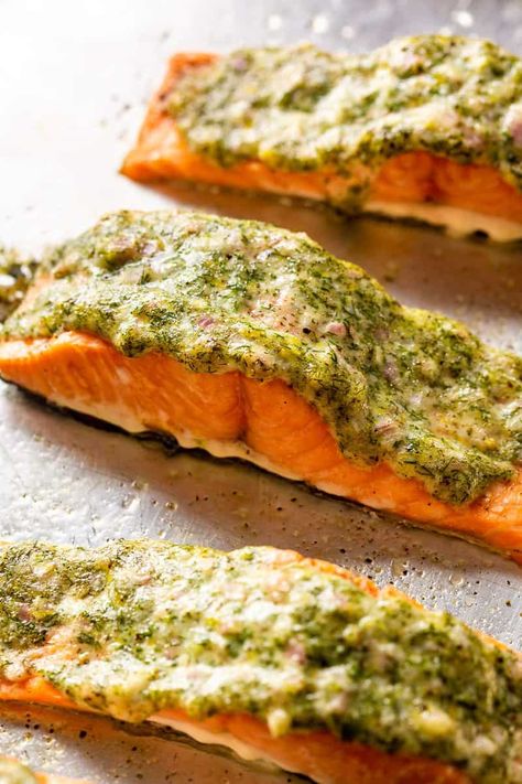 Easy Oven-Baked Lemon Dill Salmon Recipe (20-minute dinner) Dill Salmon Recipes Baked, Salmon Recipes Baked Dill, Dill Crusted Salmon, Dill Butter Salmon, Mayo Dill Salmon, Salmon Recepies, Lemon And Dill Salmon, Creamy Lemon Dill Salmon, Baked Salmon With Dill