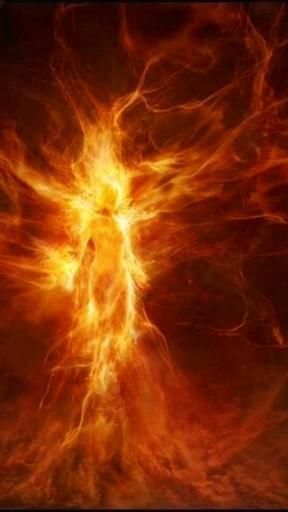 Dark Phoenix Gif, Phoenix Gif, Phoenix Magic, Video Dark, Phoenix Marvel, Phoenix Wallpaper, Phoenix Artwork, Gif Art, Jean Grey Phoenix