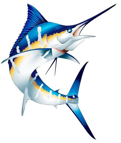 Blue Marlin Fish, Marlin Fish, Sea Life Decor, Fish Designs, Fish Clipart, Blue Marlin, Art Library, Fish Illustration, Underwater Creatures