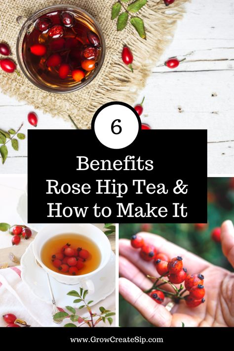 Rose Hip Tea Benefits, Rosehip Tea Benefits, Benefits Of Rose Hips, Rose Hips Benefits, Rosehip Recipes, Blackberry Tea, Rosehip Tea, Aronia Berries, Fruit Or Vegetable