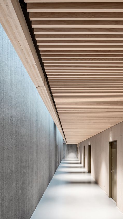 Wood Slat Ceiling, Baffle Ceiling, Wooden Ceiling Design, Timber Battens, Corridor Design, Plank Ceiling, Timber Slats, Timber Ceiling, Ceiling Detail