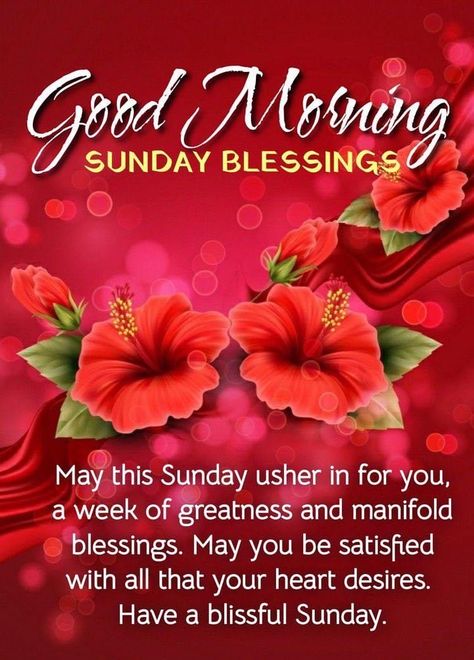 Wish Good Morning, Blessed Sunday Morning, Quotes Blessed, Blessed Morning Quotes, Good Morning Sunday, Happy Sunday Morning, Sunday Morning Quotes, Sunday Greetings, Good Sunday Morning