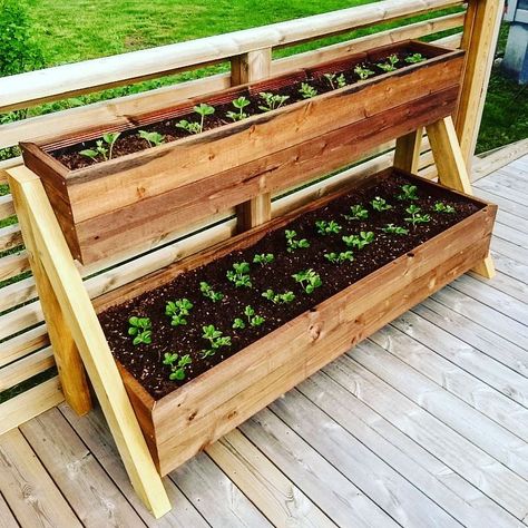 Backyard Strawberry Garden, Patio Shelf Ideas, Strawberry Shelf, Strawberry Planter Ideas, Veg Planters, Pallet Patio Furniture Diy, Strawberry Planter, Outdoor Shelves, Strawberry Planters