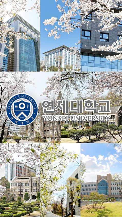 University Inspiration, University Lifestyle, Yonsei University, Korea University, Law School Inspiration, Learn Korea, Montage Video, Korea Wallpaper, South Korea Travel