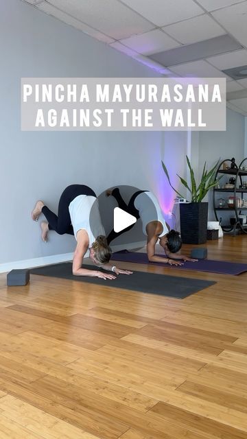 Yoga On The Wall, Wall Yoga Exercises, Pincha Pose, Yoga Poses Aesthetic, Wall Yoga Poses, How To Yoga, Sun Yoga, Pincha Mayurasana, Ashley Michelle