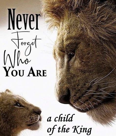 Lion Of Judah Quotes, Lion Of Judah Jesus, Jesus Christ Artwork, Bible Quotes Images, Christian Quotes God, Christian Pictures, Daughter Quotes, Lion Of Judah, Prayer Warrior