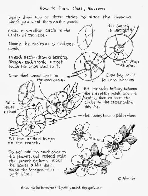 How To Draw Cherry Blossoms, Free Drawing Worksheet Nature Worksheet, Drawing Worksheet, Drawings Of Flowers, Cherry Drawing, Branch Drawing, Free Drawing, Flower Drawing Tutorials, Plant Drawing, Art Instructions