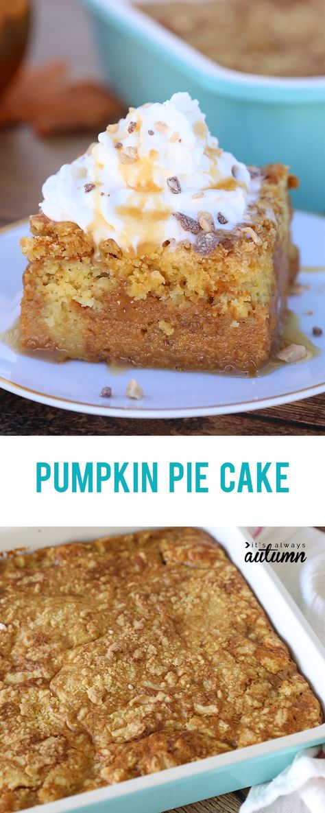 Pumpkin Pie Cake Recipe, Pie Cake Recipe, Pumpkin Pie Cake, Cake Pumpkin, Pumpkin Pie Recipe Easy, Dump Cake Pumpkin, Recipe Pumpkin, Pumpkin Pie Mix, Easy Pumpkin Pie