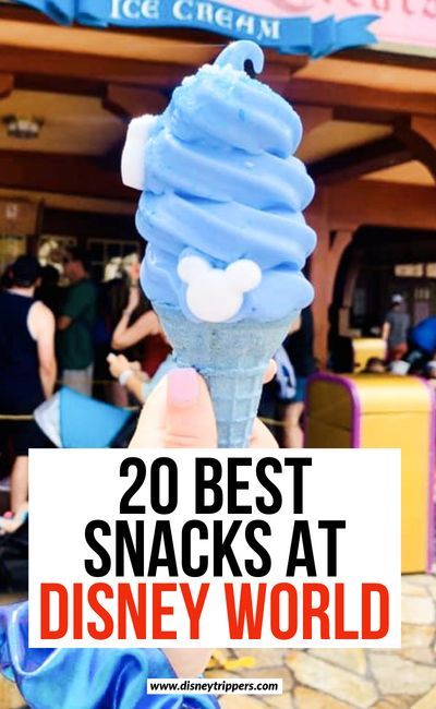 Best Disney Snacks, Snacks To Eat, Disney World Secrets, Dining Plan, Best Snacks, Disney World Vacation Planning, Disney World Food, Family Disney Trip, Disney Trip Planning