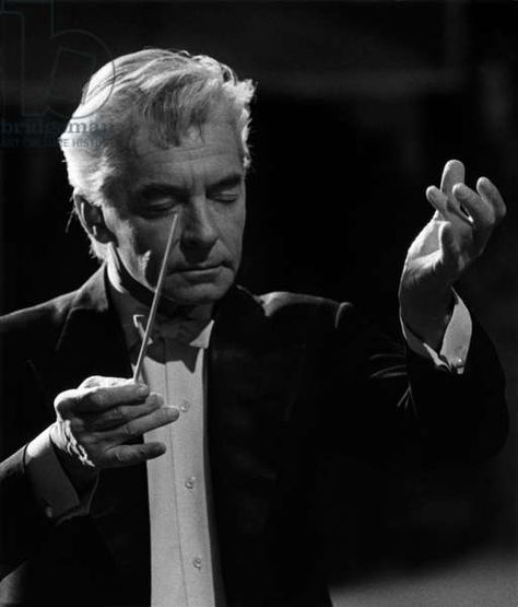 337 Résultats pour Karajan found, art and culture images and photos from Bridgeman Images Conductor Aesthetic, Choir Conductor, Musician Life, Art Of Noise, Vienna Philharmonic, Orchestra Conductor, Herbert Von Karajan, Leonard Bernstein, Classic Jazz