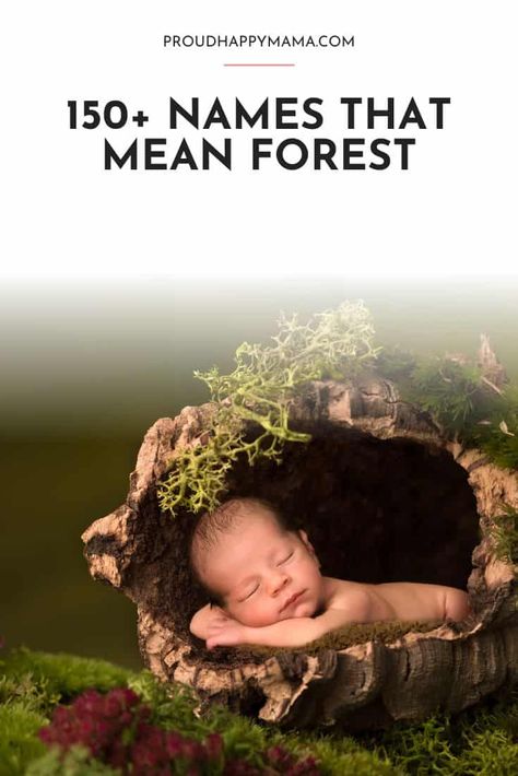 Tree Names, Tree Names For Babies, Forest Names Girl, Fantasy Forest Names, Forest Names, Nature Themed Names, Names That Mean Forest, Names Meaning Forest, Earthy Boy Names