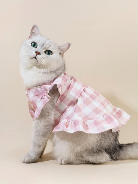 PETSIN 1pc Plaid Print Pet Dress Cat Outfits Pets, Cat Stands, Pet Dress, Dog Dress, Cat Fashion, Cat Posters, Cat Costumes, Pet Costumes, Dog Dresses