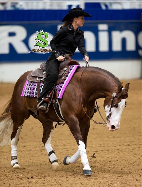 Ranch Horse Show Attire, Western Reining Horse, Horse Show, Western Riding Clothes, Western Horsemanship, Working Cow Horse, Ranch Riding, Aqha Horses, Faster Horses