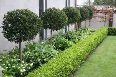 17-35 Garden Landscaping Ideas, Funny Vine, Garden Hedges, Front Garden Design, Front Yard Design, Front Landscaping, Modern Garden Design, Have Inspiration, Landscape Plans