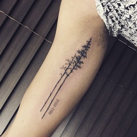 Tree time. Long Tree Tattoo, Tall Tree Tattoo, Strong Tree Tattoo, Pine Tree Tattoo With Words, Twilight Tree Tattoo, Wrist Tree Tattoos For Women, Arborist Tattoo, Women’s Tree Tattoos, Fine Line Tree Tattoo