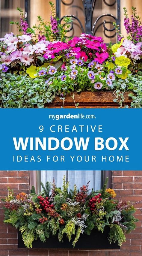 Brighten up your home with these window box ideas! Discover creative window box arrangement inspiration for sun, shade and every condition in between. These DIY window box planters will add charm to any window sill. Transform your home's exterior with these stunning displays and find more front porch gardening tips and landscaping inspiration at MyGardenLife.com. Window Box Perennials, 2nd Story Window Boxes, Small Plant Box Outdoor Garden Ideas, Window Box Design Ideas, Window Box Planter Ideas Full Sun, Window Box Ideas For Sun, Sunny Window Box Flowers, Window Flower Box Ideas Full Sun, Summer Window Boxes Ideas